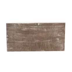 Decorative Succulent Arrangement Wall Frame (49.5x24.5x6cm)