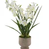 Dendrobium Orchid Real Touch 3 Stem Cement Pot White (61cmH)