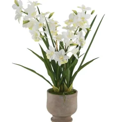 Dendrobium Orchid Real Touch 3 Stem Cement Pot White (61cmH)