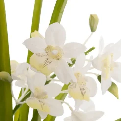 Dendrobium Orchid Real Touch 3 Stem Cement Pot White (61cmH)