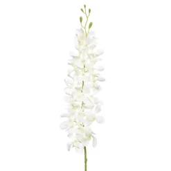 Dendrobium Tropical Orchid 20 Flowers Cream (95cmH)