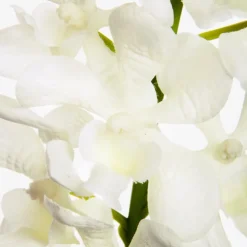 Dendrobium Tropical Orchid 20 Flowers Cream (95cmH)