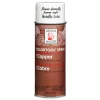 Design Master Spray Paint Copper (340g)