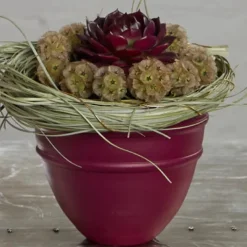 Design Master Spray Paint Colortools Maroon (340g)