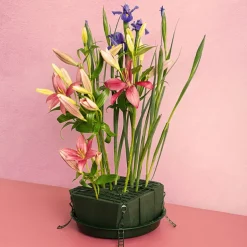 Designer Bowl & Guard Round Bas Pack5 (33Dx3.5cmH) Green