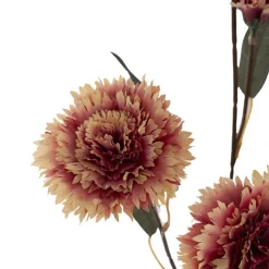 Dianthus Flower Spray Beige Pink (75cmH)