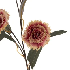 Dianthus Flower Spray Beige Pink (75cmH)