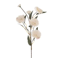 Dianthus Flower Spray Ivory (75cmH)