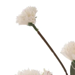 Dianthus Flower Spray Ivory (75cmH)
