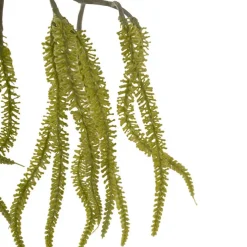 Draping Amaranthus Spray Green (98cmH)