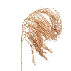 Draping Wheat Spray Almond Brown (65cmH)