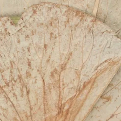 Dried Lotus Leaves 400gm up to 30 Leaves