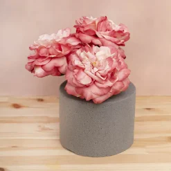 Dry Strass Floral Foam IDEAL Cake Cylinder (19Dx15cmH)