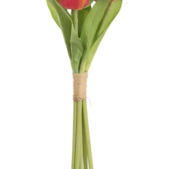Dutch Tulip Bouquet x 7 Orange (30cmH)