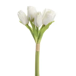 Dutch Tulip Bouquet x 7 White (30cmH)