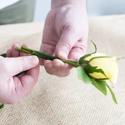 ECO Paper Parafilm Floral Tape Pk12 Dark Green(12.5mm x 27m)