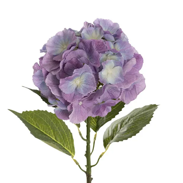 Eldorado Hydrangea Stem Cream Violet (18cmDx64cmH)