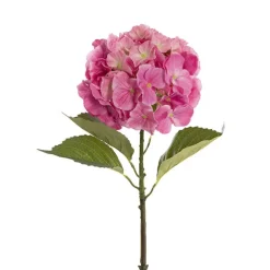 Eldorado Hydrangea Stem Ruby Pink (18cmDx64cmH)