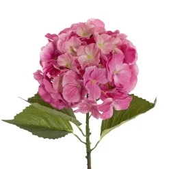 Eldorado Hydrangea Stem Ruby Pink (18cmDx64cmH)
