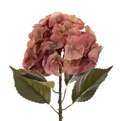 Eldorado Hydrangea Stem Rustic Coral (18cmDx64cmH)
