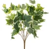 English Ivy Variegated Bush x7 White Green (42cmH)