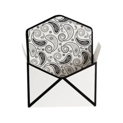 Envelope Flower Box Large Paisley White Pk5 (23Lx8Dx16cmH)