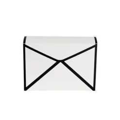 Envelope Flower Box Large Paisley White Pk5 (23Lx8Dx16cmH)