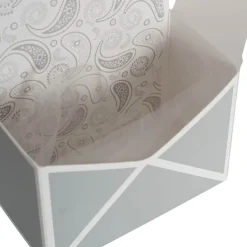 Envelope Flower Box Small Paisley Sage Pk5 (15.5Lx8Dx11cmH)