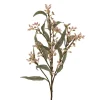 Eucalyptus Bud Spray Pink (78cmH)