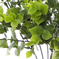 Eucalyptus Bunch Green (30cm)