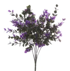 Eucalyptus Bunch Purple (30cmH)