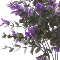 Eucalyptus Bunch Purple (30cmH)