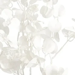 Eucalyptus Dollar Gum Spray White (80cmH)