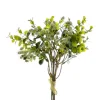 Eucalyptus Fruit Bouquet Green White (34cmH)