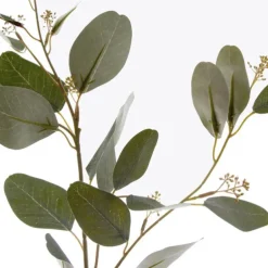 Eucalyptus Seeded Spray Green (72cmH)