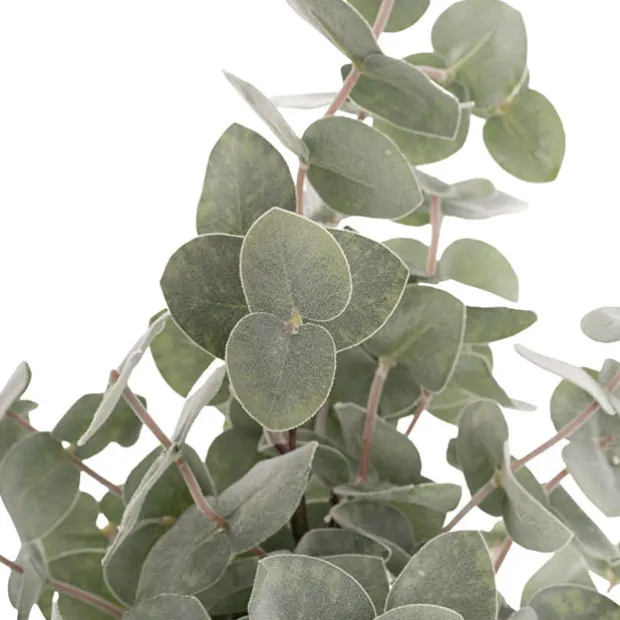 Eucalyptus Tree Burlap Jute Green (40cmH)