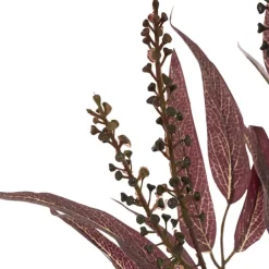 Eucalyptus Willow Leaf & Seed Spray Burgundy (77cmH)