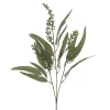 Eucalyptus Willow Leaf & Seed Spray Green (77cmH)