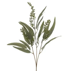 Eucalyptus Willow Leaf & Seed Spray Green (77cmH)