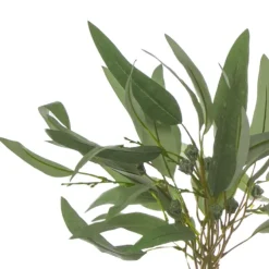 Eucalyptus Willow Leaf Gumnut Bouquet Grey (44cmH)