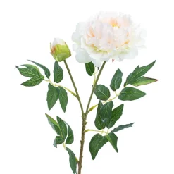 Evelyn Peony Spray Champagne (70cmH)