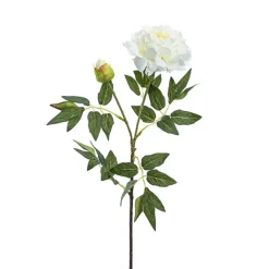 Evelyn Peony Spray White (70cmH)