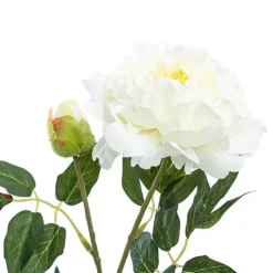 Evelyn Peony Spray White (70cmH)