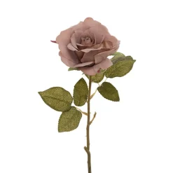 Event Velvet Rose Short Stem Sienna Brown (11cmDx35cmH)