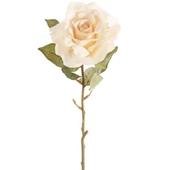 Event Velvet Rose Short Stem Soft Peach (11cmDx35cmH)