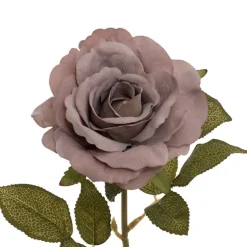 Event Velvet Rose Short Stem Dusty Purple (11cmDx35cmH)