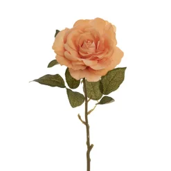 Event Velvet Rose Short Stem Apricot (11cmDx35cmH)