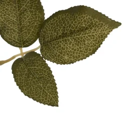 Event Velvet Rose Short Stem Apricot (11cmDx35cmH)