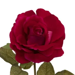 Event Velvet Rose Short Stem Hot Pink (11cmDx35cmH)