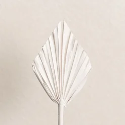 Floral Event Craft Spray Paint Matte White (340g)